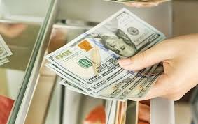 Chuyên đề quy định pháp luật về sử dụng ngoại hối trên lãnh thổ Việt Nam (cập nhật ngày 16_4_2019)